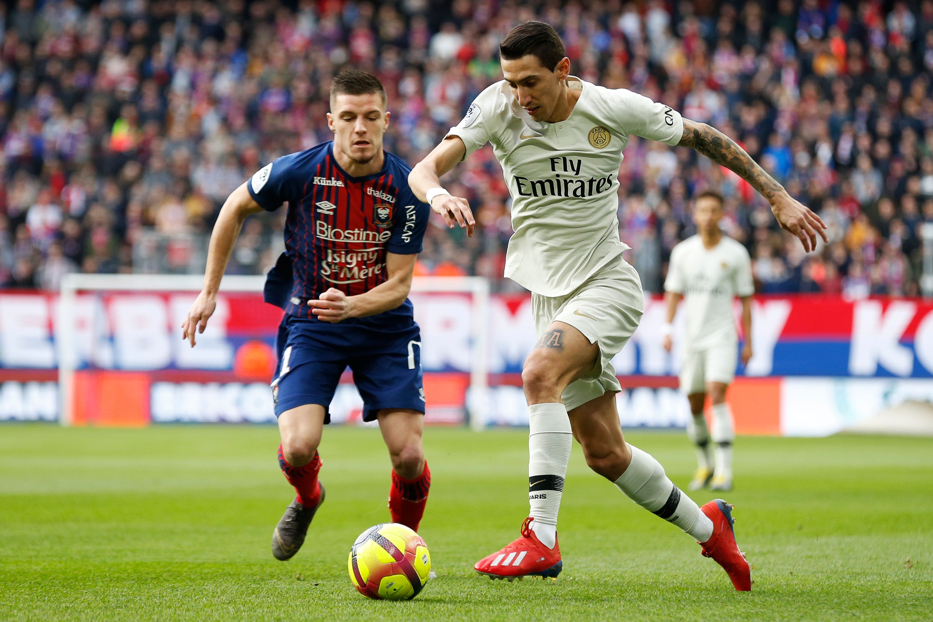 舍什科唯一后悔的事情（舍什科心中唯一的遗憾）